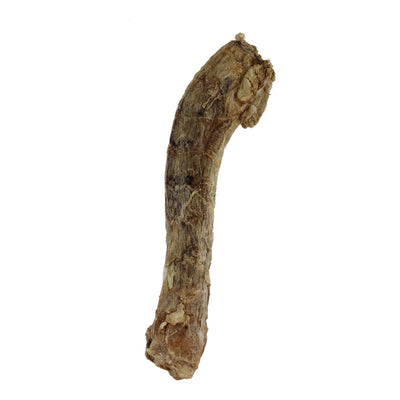 Duck Necks Freeze-Dried Snacks