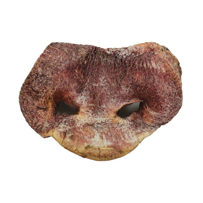 Pig Snouts Freeze-Dried Snacks