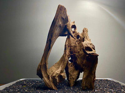 Malaysian Driftwood Showpiece Sculpture "Peter Pan's Mermaid Lagoon"