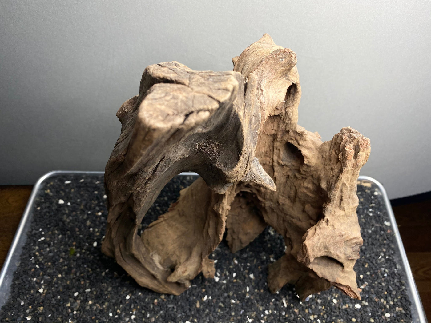 Malaysian Driftwood Showpiece Sculpture "Peter Pan's Mermaid Lagoon"