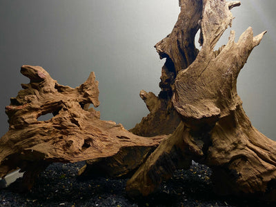 Malaysian Driftwood Showpiece Sculpture "Castle Crossing"