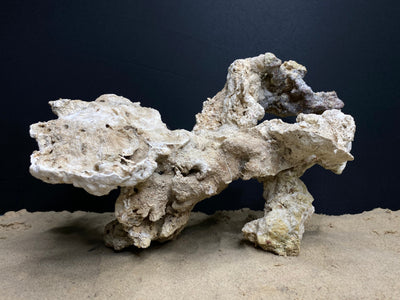 Reef Rockscape "Harpy"