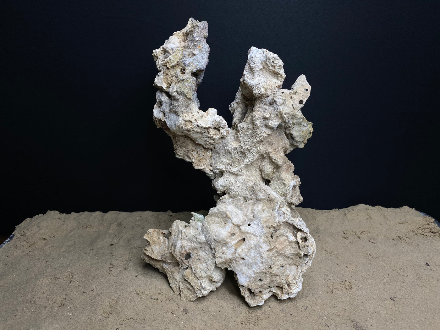 Reef Rockscape "Harpy"
