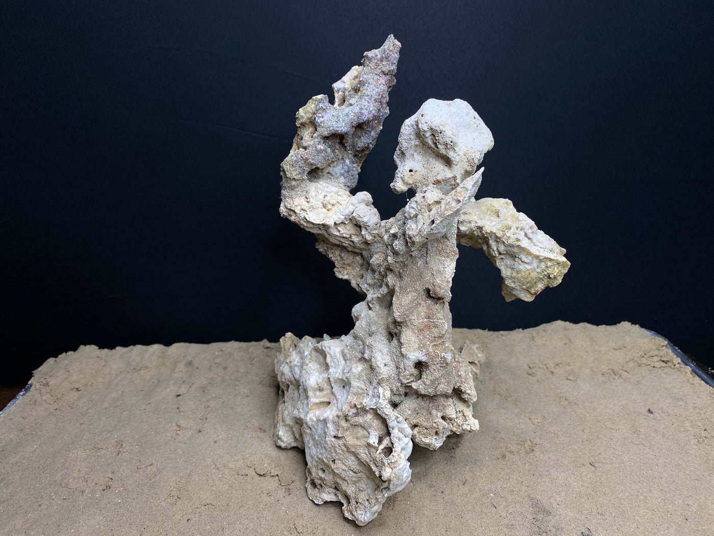 Reef Rockscape "Harpy"