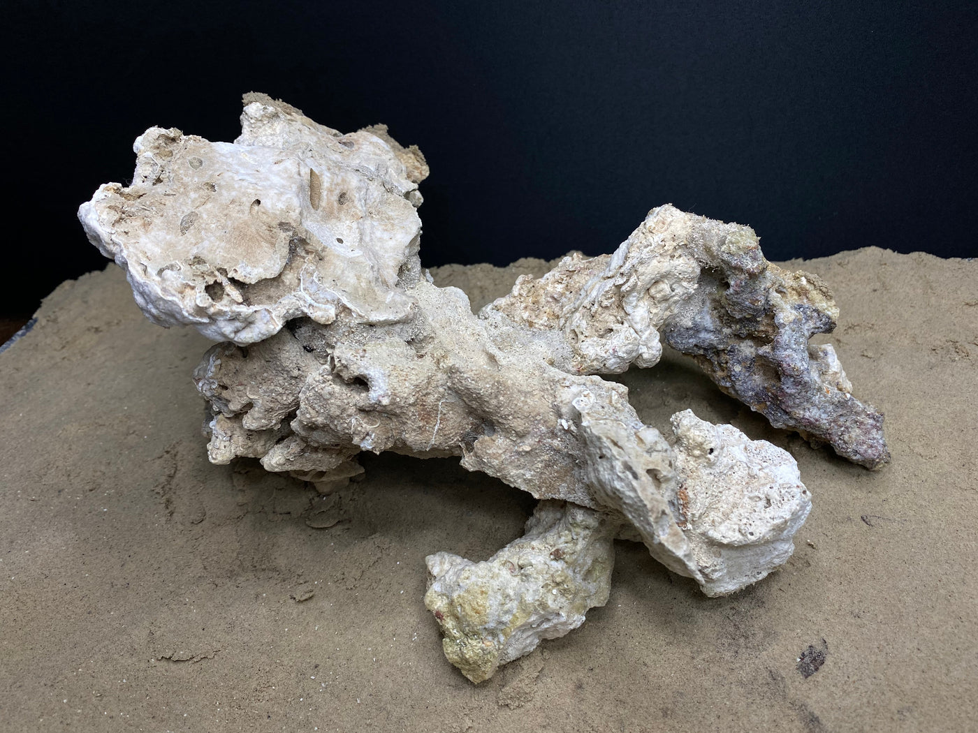Reef Rockscape "Harpy"