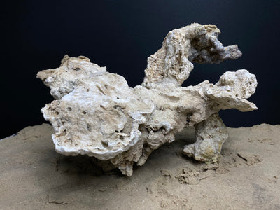 Reef Rockscape "Harpy"
