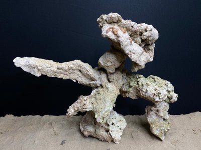 Reef Rockscape "Mech-O"