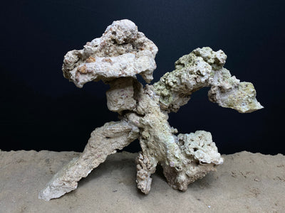 Reef Rockscape "Mech-O"