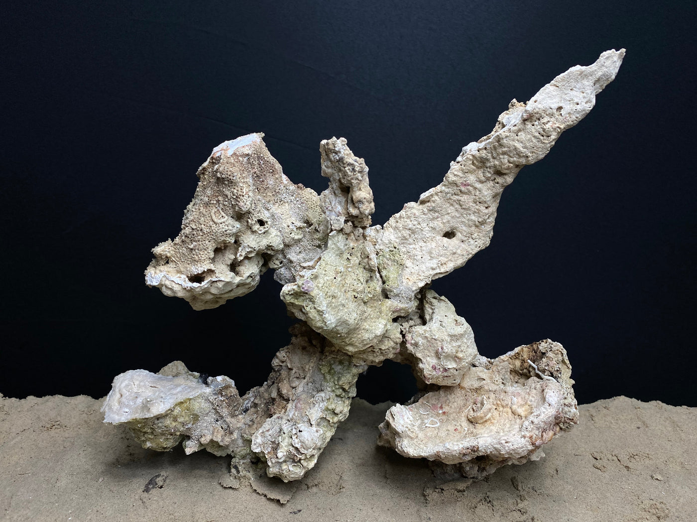 Reef Rockscape "Mech-O"
