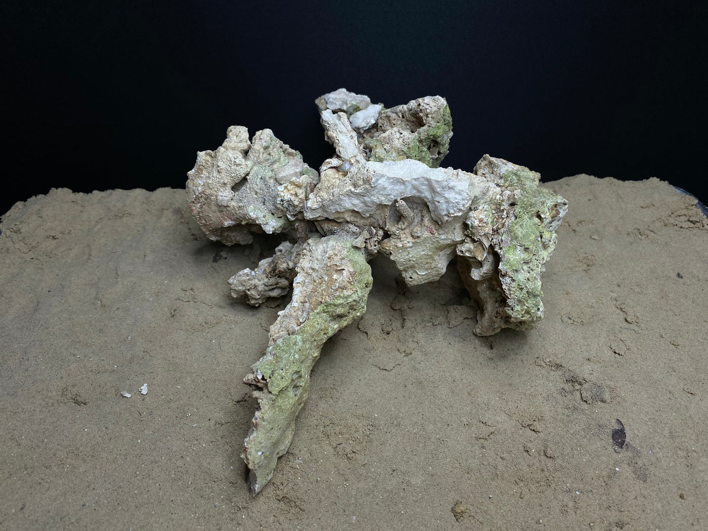 Reef Rockscape "Mech-O"