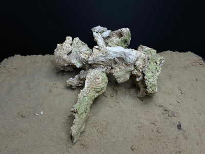 Reef Rockscape "Mech-O"