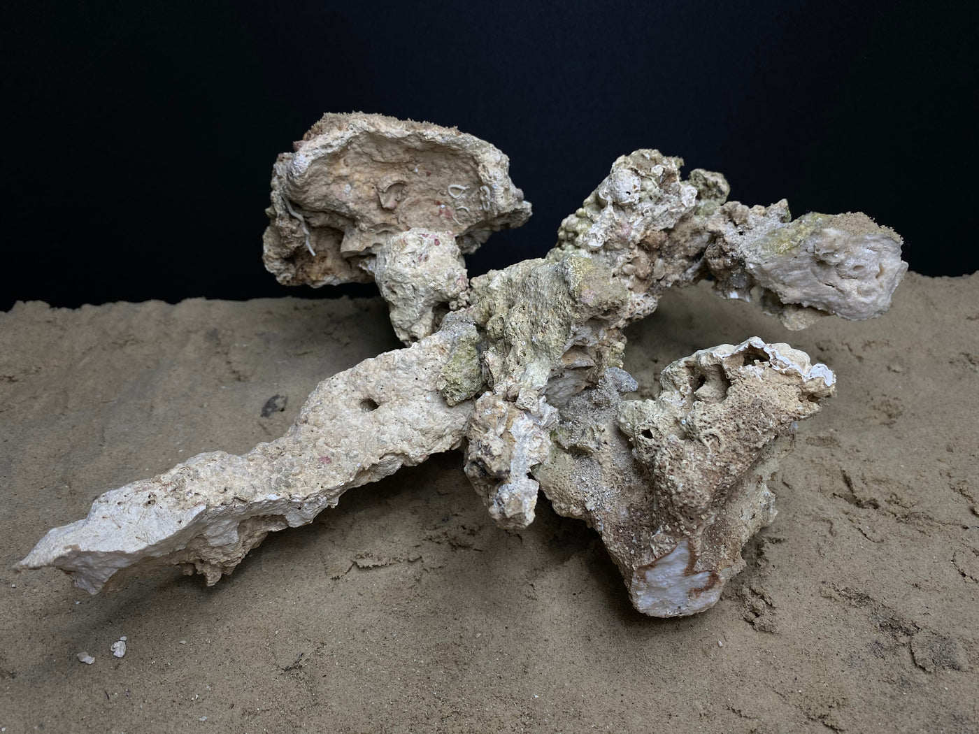 Reef Rockscape "Mech-O"