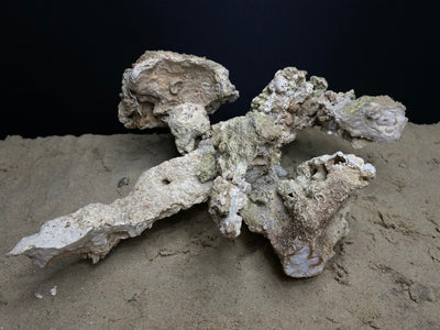 Reef Rockscape "Mech-O"