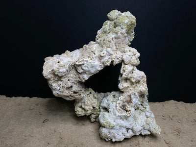 Reef Rockscape "Caveman Wheel"