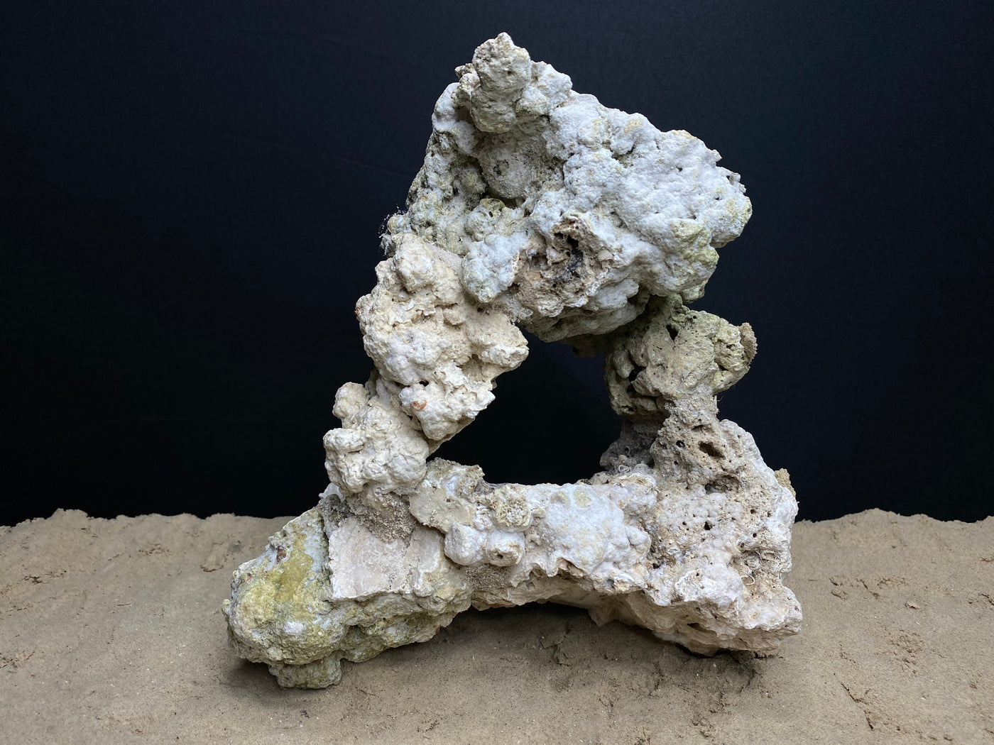Reef Rockscape "Caveman Wheel"
