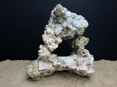 Reef Rockscape "Caveman Wheel"