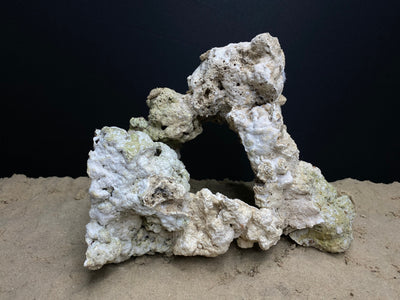 Reef Rockscape "Caveman Wheel"