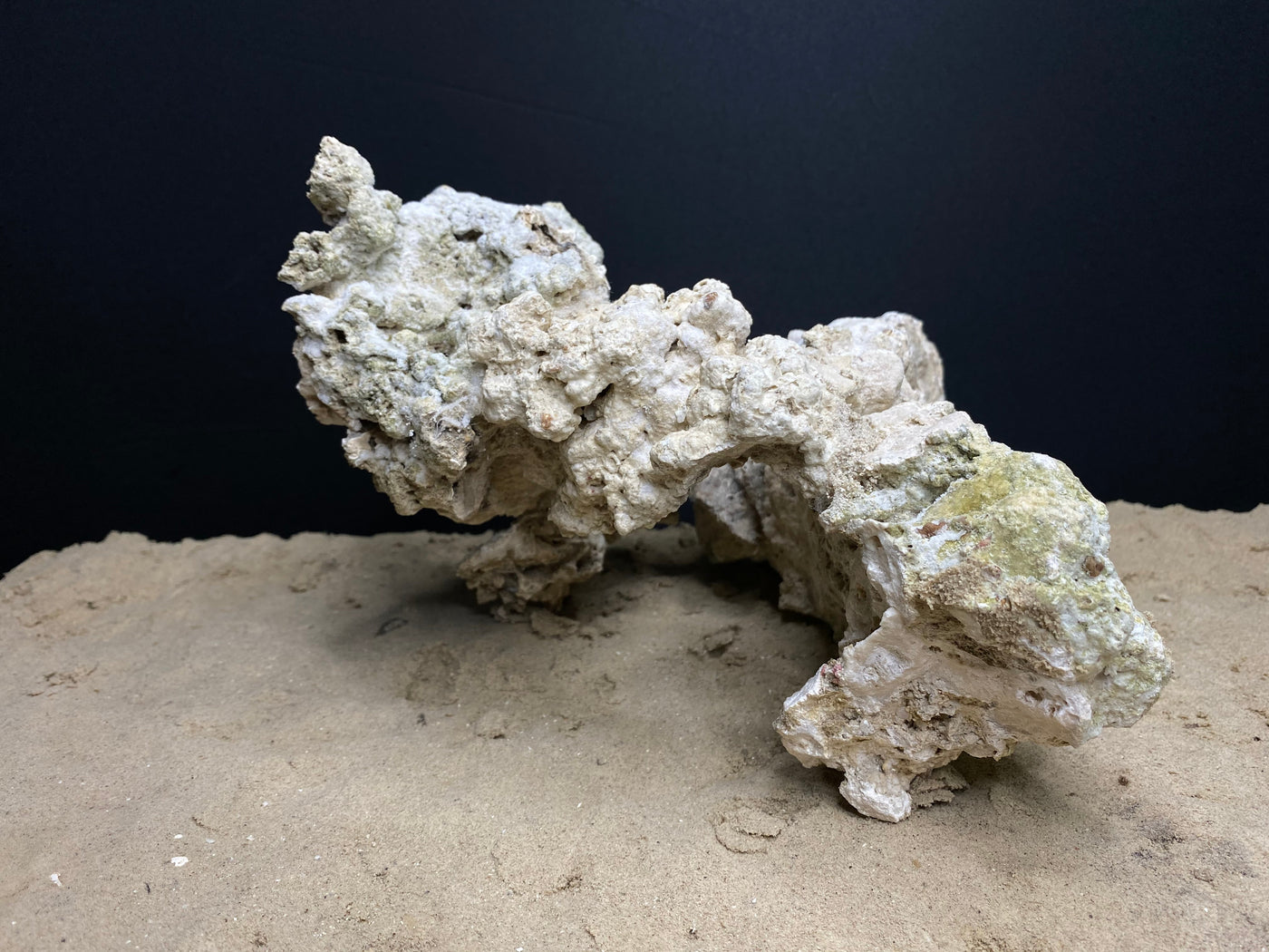 Reef Rockscape "Caveman Wheel"