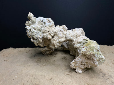 Reef Rockscape "Caveman Wheel"