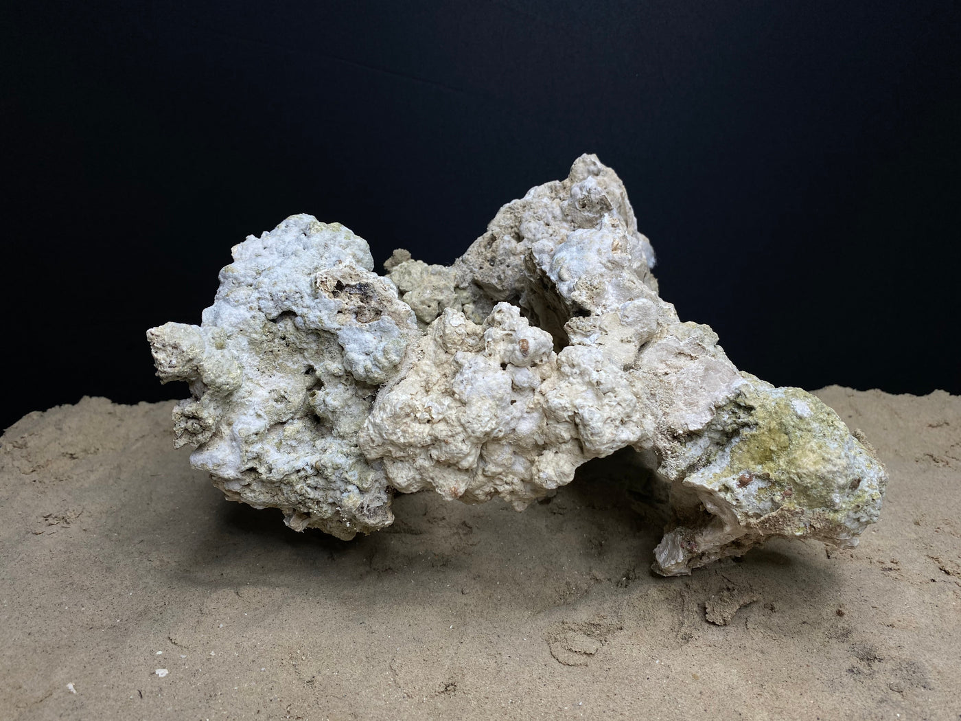 Reef Rockscape "Caveman Wheel"