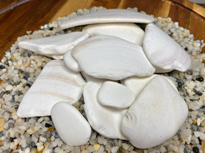 Accent Stones "Ancient Shells"